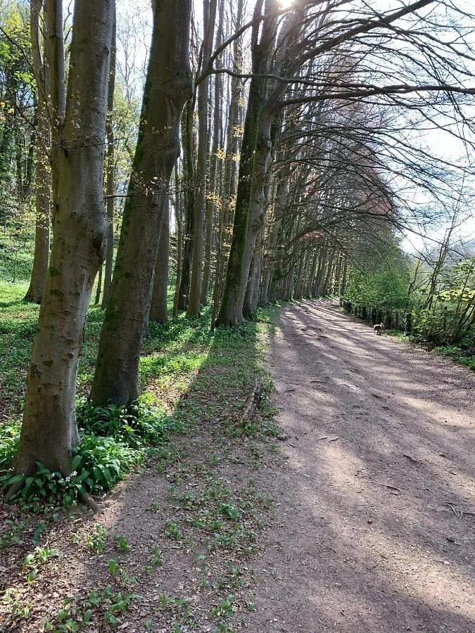 Apartmán Greystones Cardiff Velká Británie